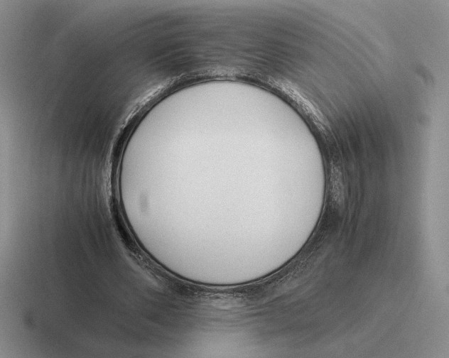 X0000116440486201001051208