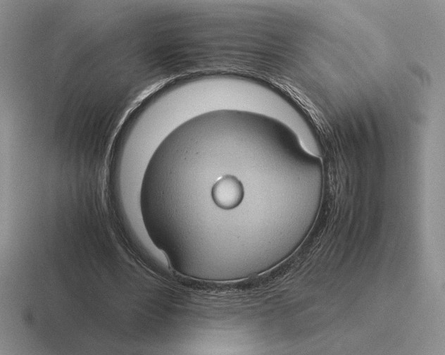 X0000116440488201001051207