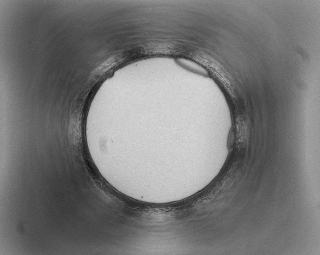 X0000116440489201001051207