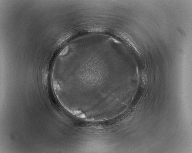 X0000116440491201001051207