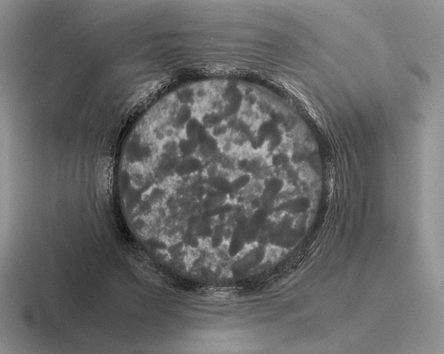 X0000116440495201001051207