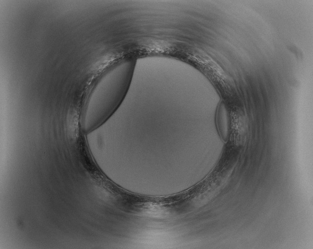 X0000116440496201001051207