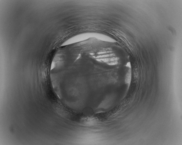 X0000116440503201001051207