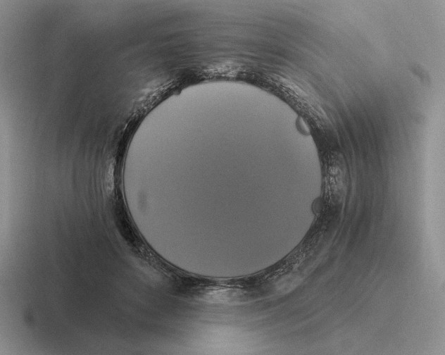 X0000116440504201001051207