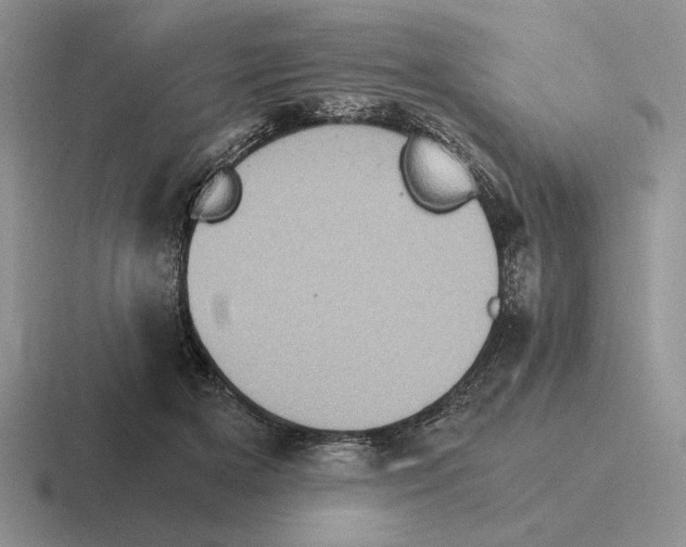 X0000116440505201001051207