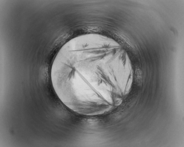 X0000116440506201001051207
