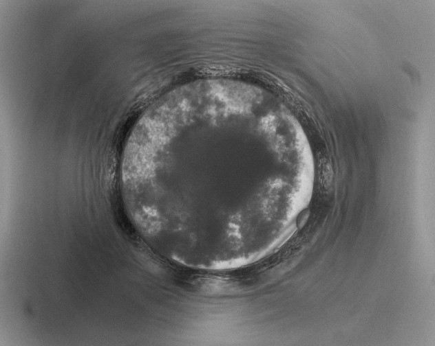 X0000116440507201001051207