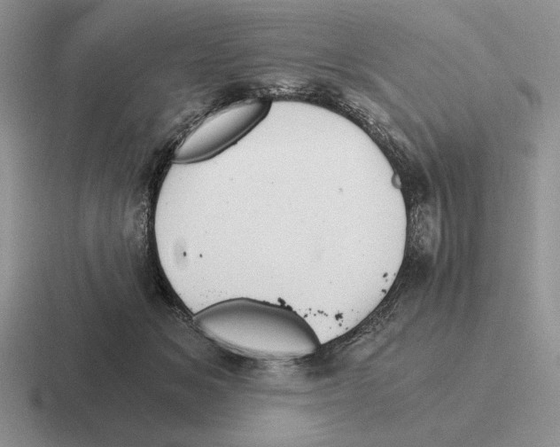 X0000116440509201001051207