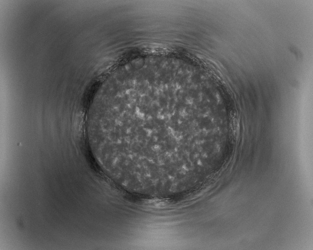 X0000116440511201001051207