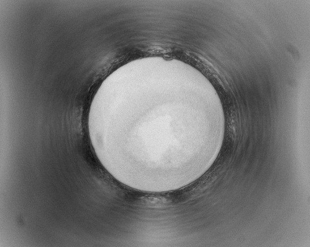 X0000116440512201001051207