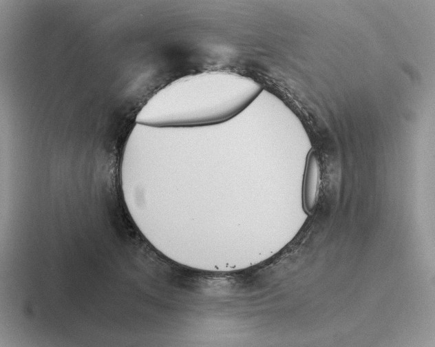 X0000116440513201001051207