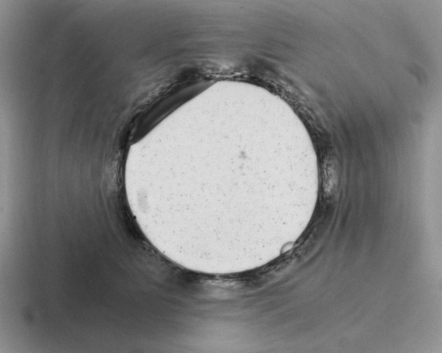 X0000116440515201001051207