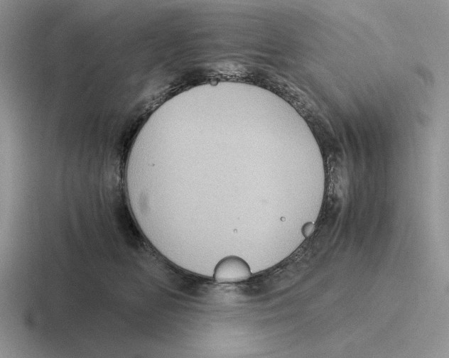 X0000116440518201001051207