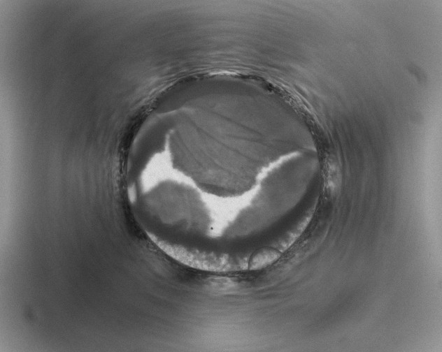 X0000116440519201001051207