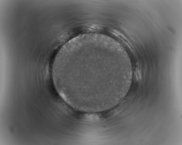 X0000116440520201001051207