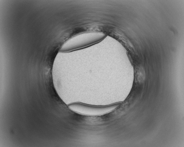 X0000116440521201001051207