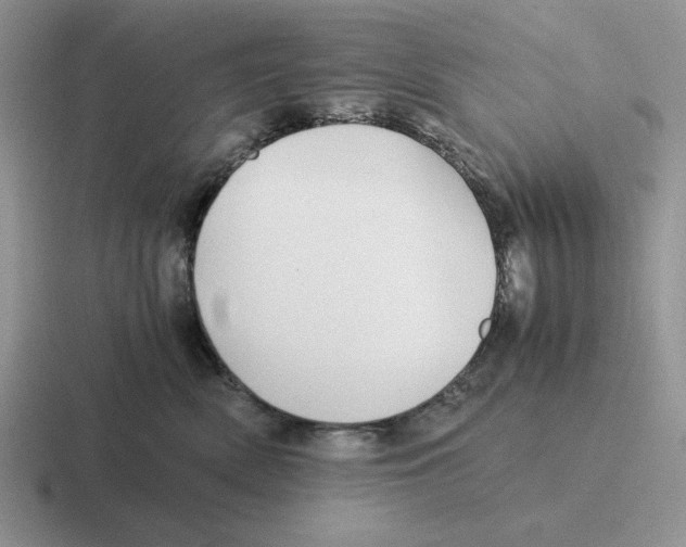 X0000116440522201001051207