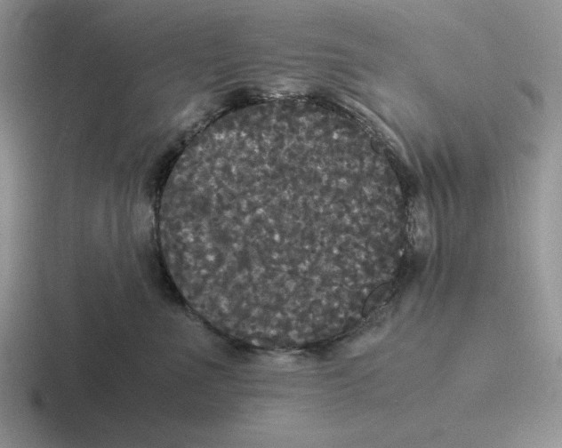 X0000116440523201001051207