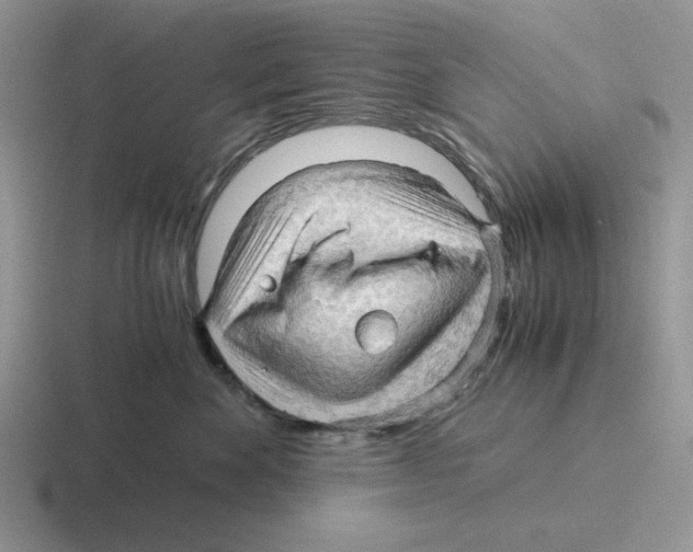 X0000116440524201001051207