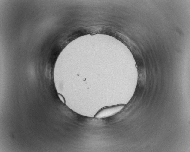 X0000116440525201001051207