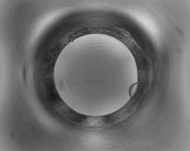 X0000116440526201001051207