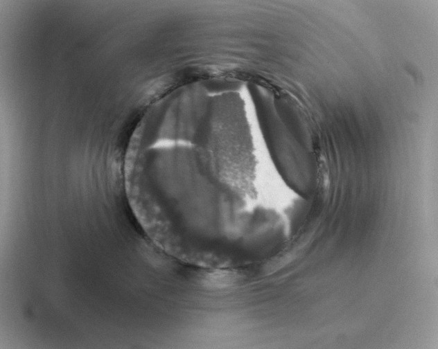 X0000116440527201001051207