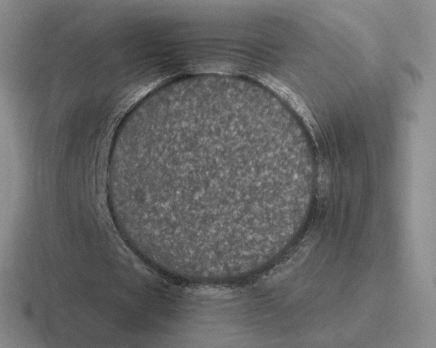 X0000116440529201001051206