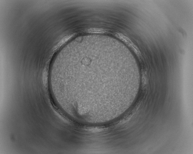 X0000116440533201001051206