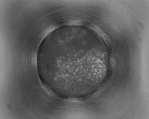 X0000116440534201001051206