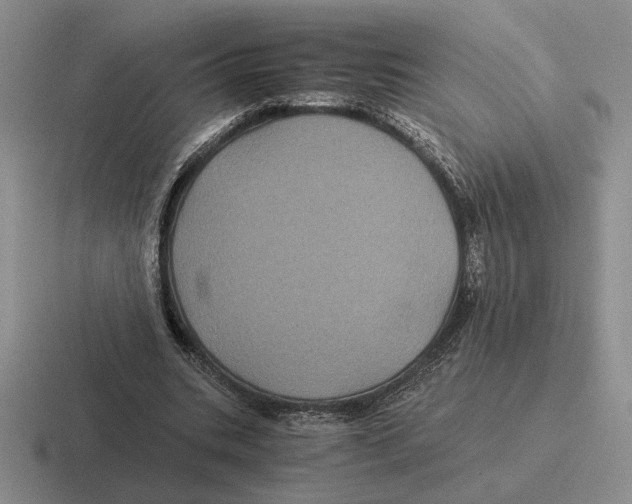 X0000116440535201001051206