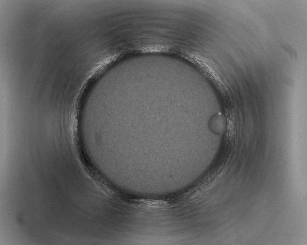 X0000116440539201001051207