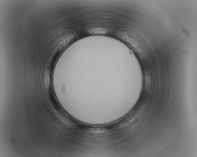 X0000116440541201001051207