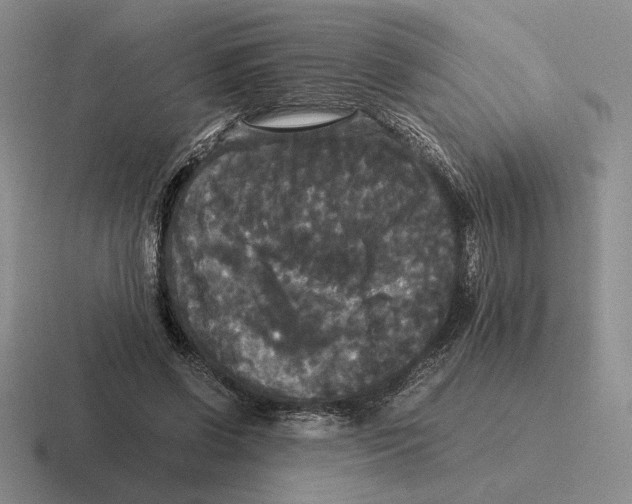 X0000116440542201001051207