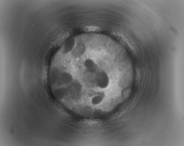 X0000116440545201001051207