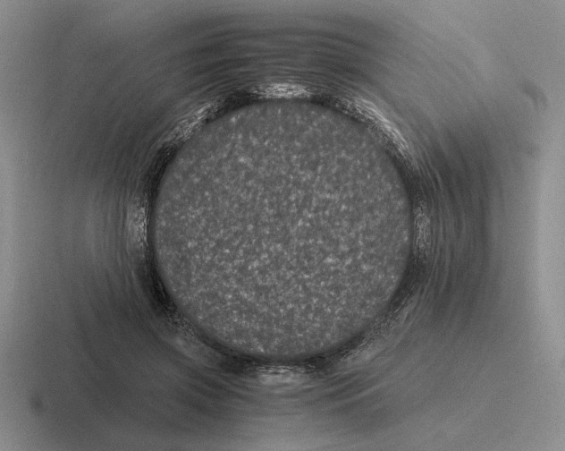 X0000116440549201001051207