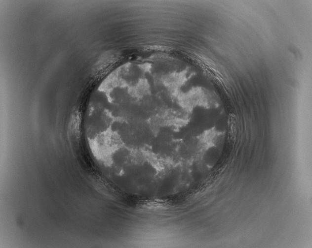 X0000116440550201001051207