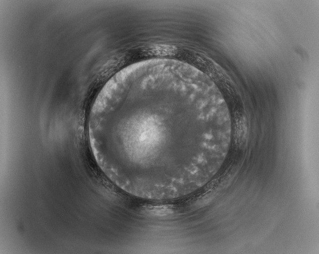 X0000116440553201001051207