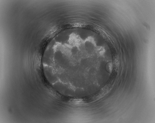 X0000116440554201001051207