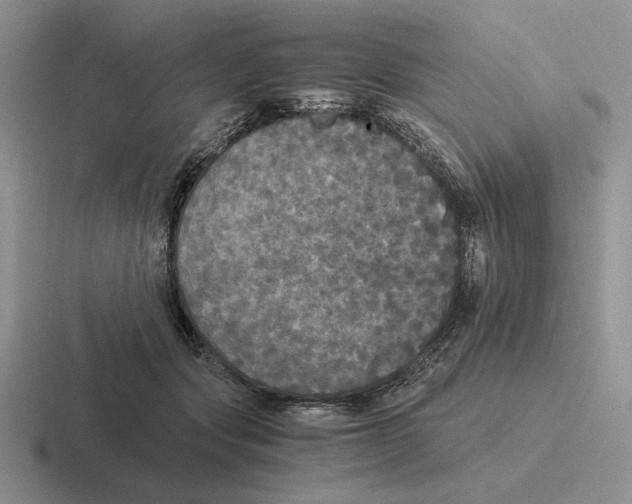 X0000116440557201001051207