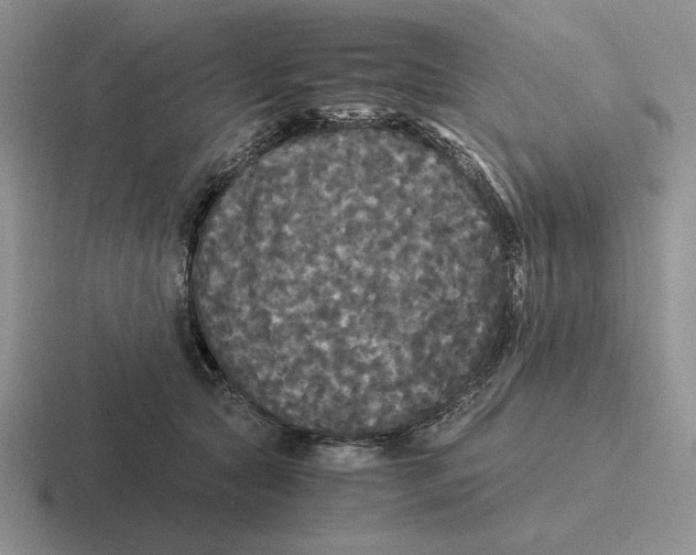 X0000116440561201001051207