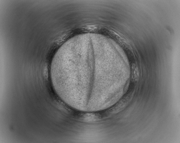 X0000116440562201001051207