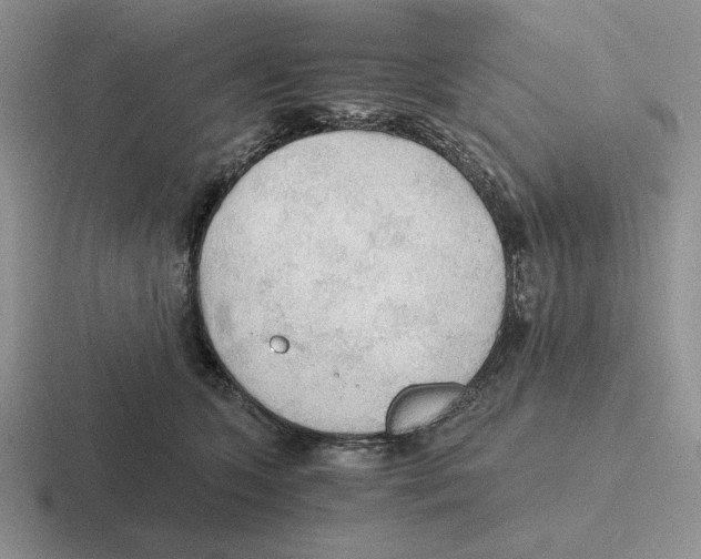 X0000116440563201001051207