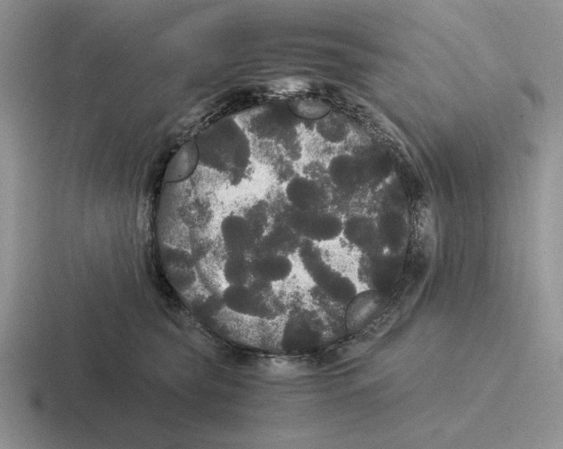 X0000116440565201001051207