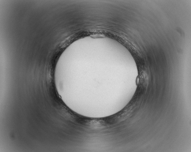 X0000116440566201001051207