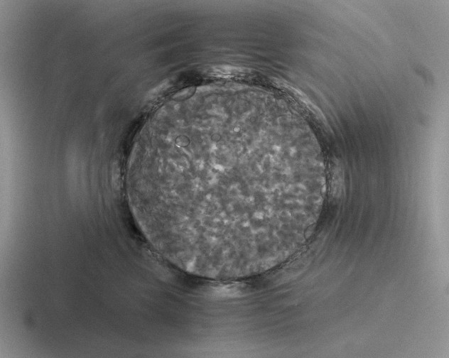 X0000116440569201001051207