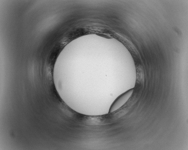 X0000116440573201001051207