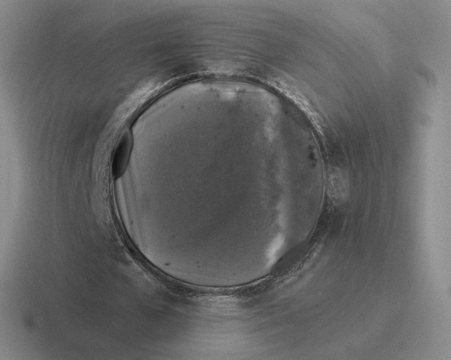 X0000116440577201001051206