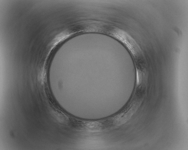 X0000116440579201001051206