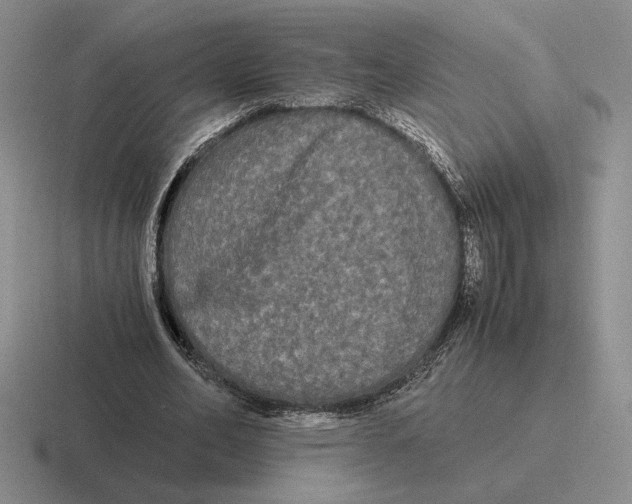 X0000116440582201001051206