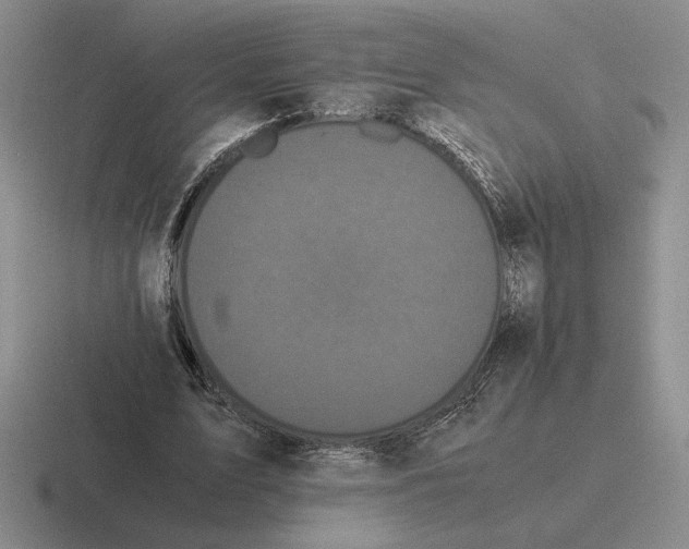 X0000116440583201001051206